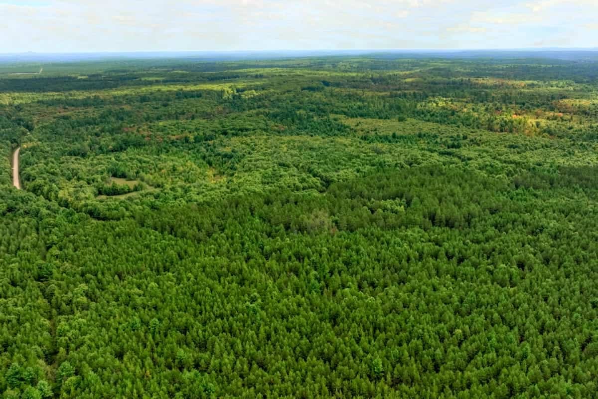 84± acres of heavily timbered recreational and hunting land in Eau Claire County