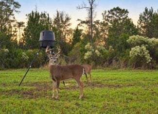 63 Acres Land For Sale Near Starkville MS