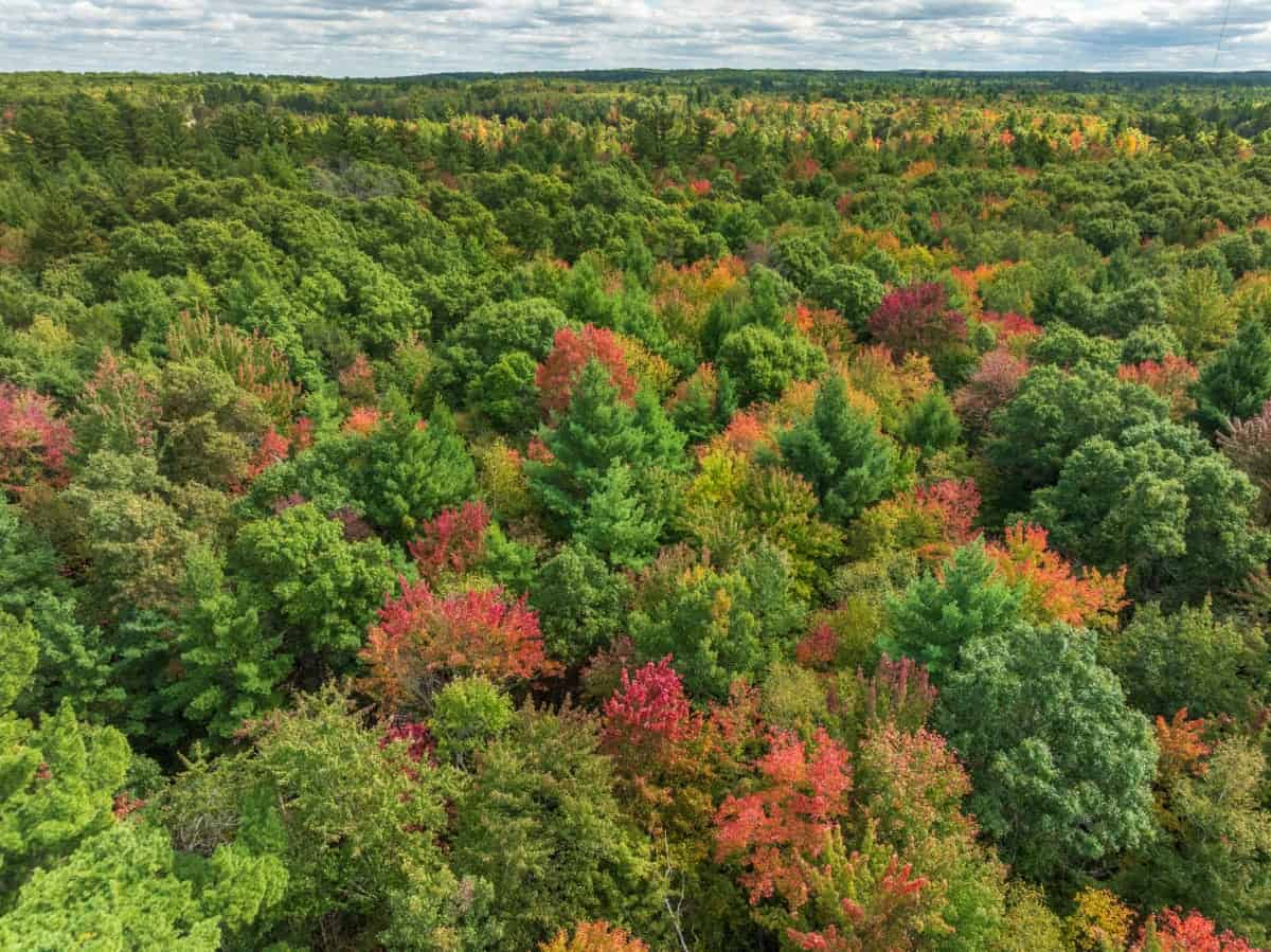 120± acres of heavily timbered hunting land in Eau Claire County