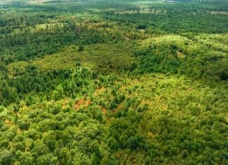 160+/- acres of Western Wisconsin hunting property Eau Claire Cty