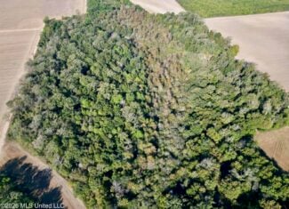 41.22 Acres MS Delta Duck Hunting