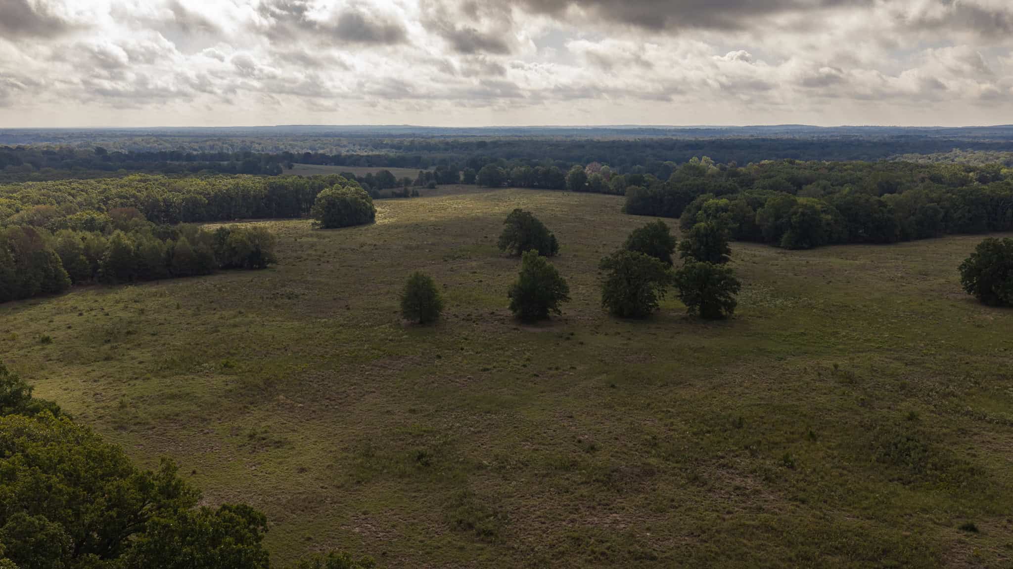 126-Acre Recreational Ranch for Sale in Mineola Texas Wood County