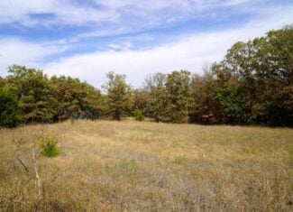 80 Acres +/- Hunting/Recreational Land For Sale Central Oklahoma