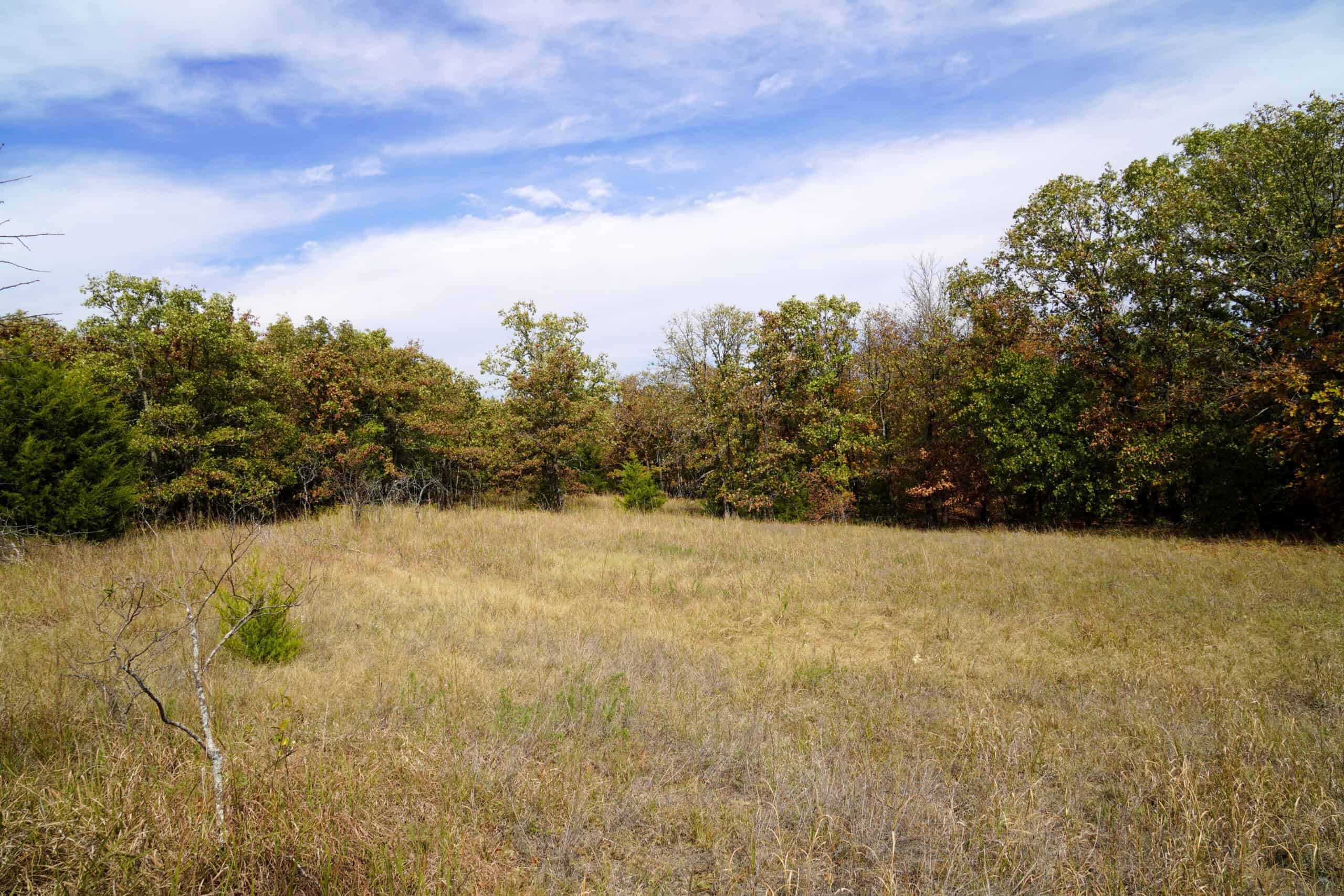 80 Acres +/- Hunting/Recreational Land For Sale Central Oklahoma