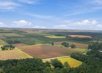 309-Acre Farm & Timberland for Sale in Beaufort County, NC