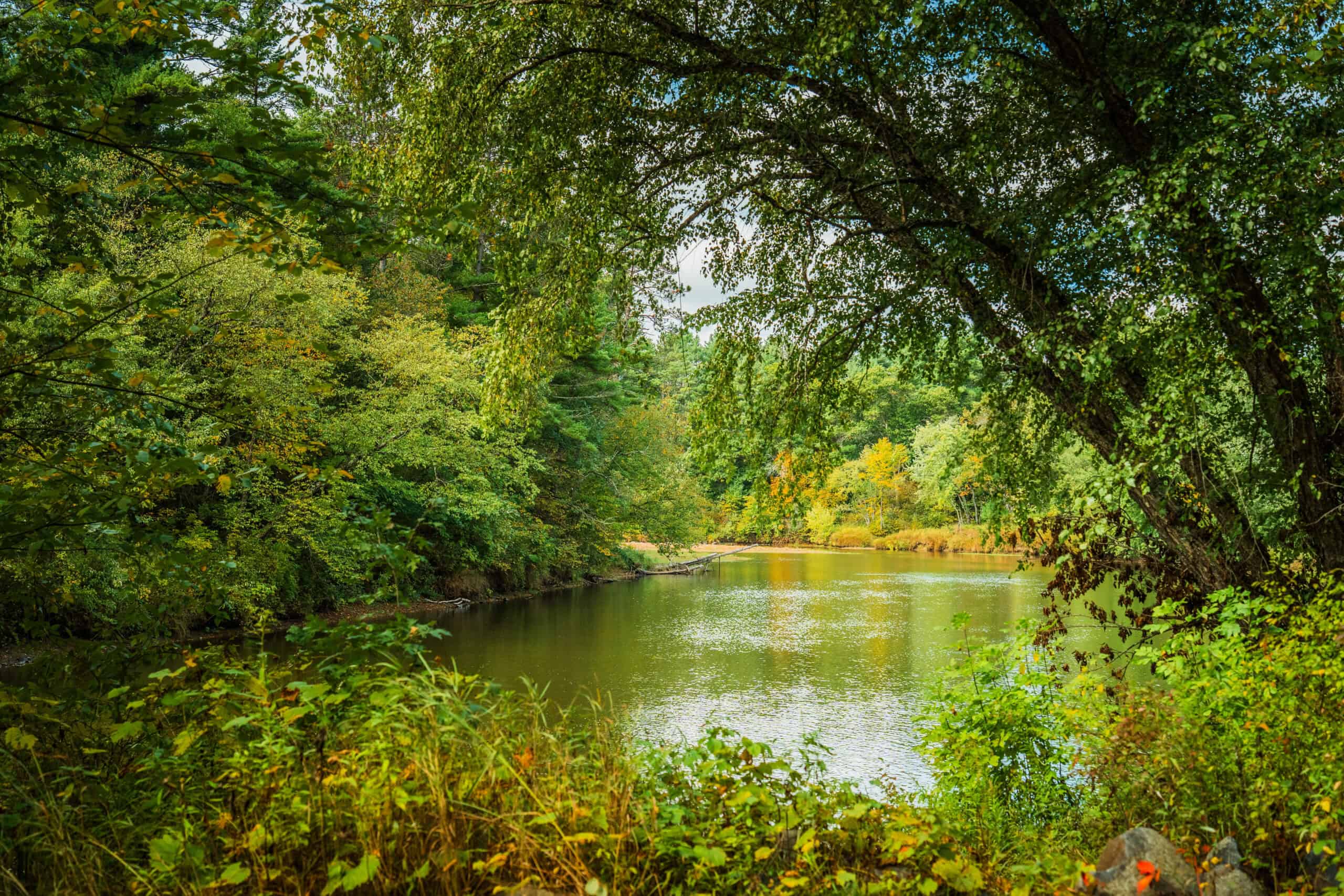 369± acres of premier recreational and hunting land in Eau Claire County