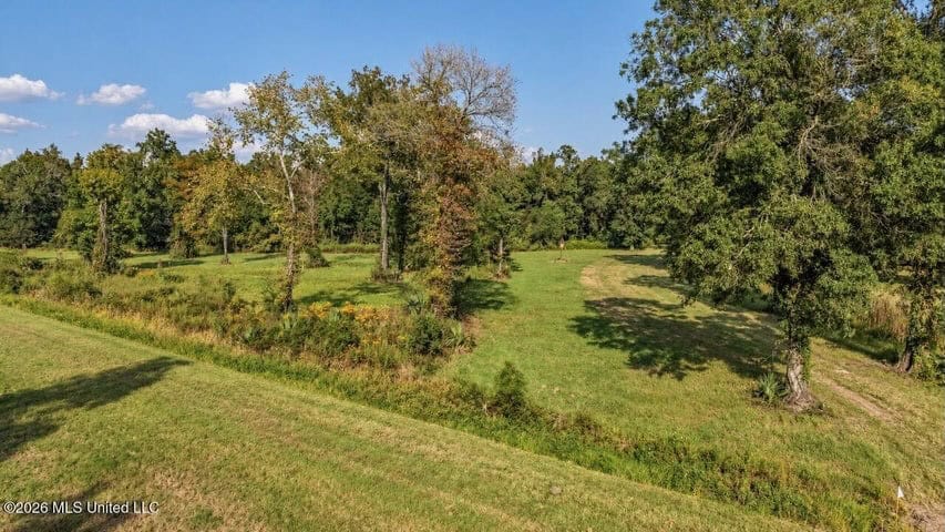 1979± Acre Hunting Plantation in White Castle, LA