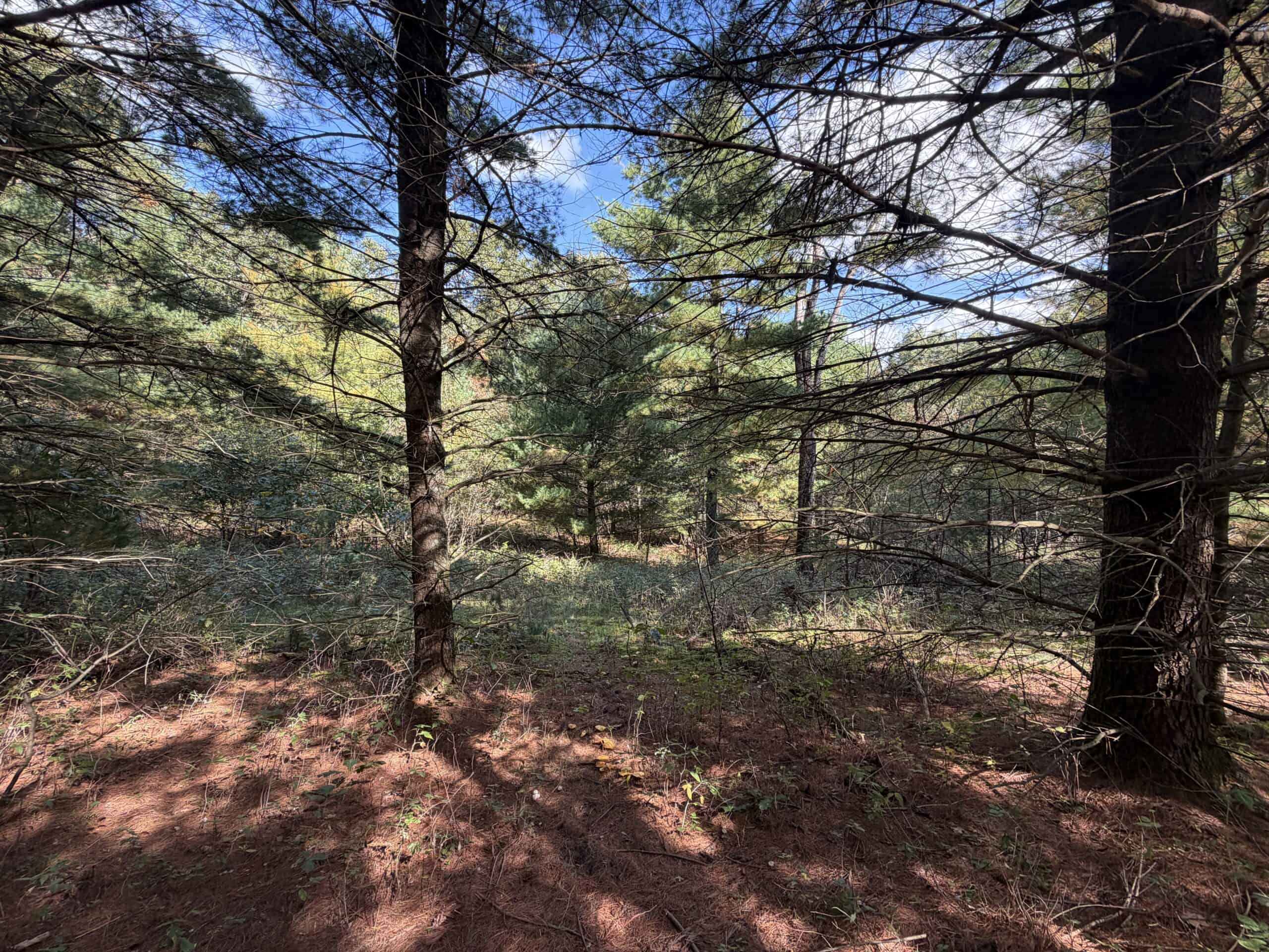 Buildable Hunting and Rec Property in Marquette County WI