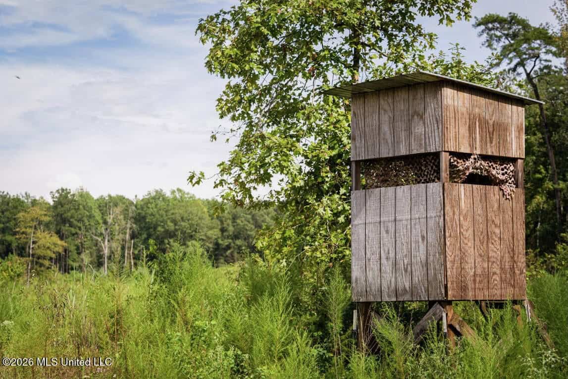 900 Acres for Sale – Hunter’s Paradise South Mississippi