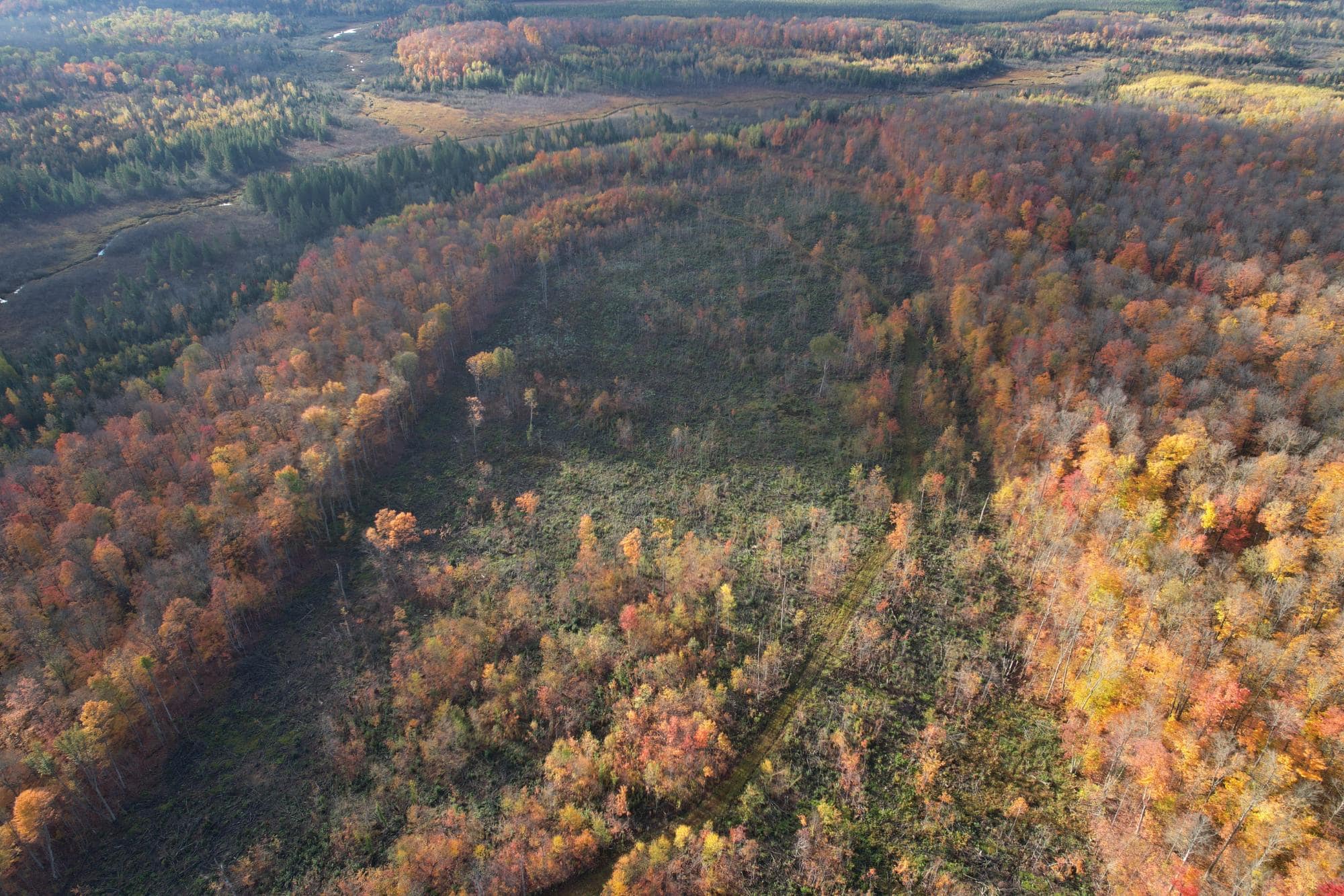 160 ± Acre Hunting Land with Camp Site Near Butternut, WI