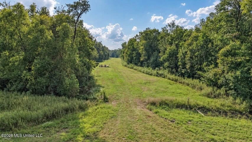 1979± Acre Hunting Plantation in White Castle, LA