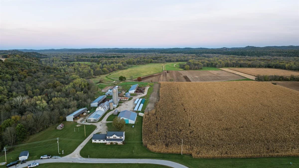 288± Acre Farm, Hunting & Black River Property | Melrose, Jackson County, WI