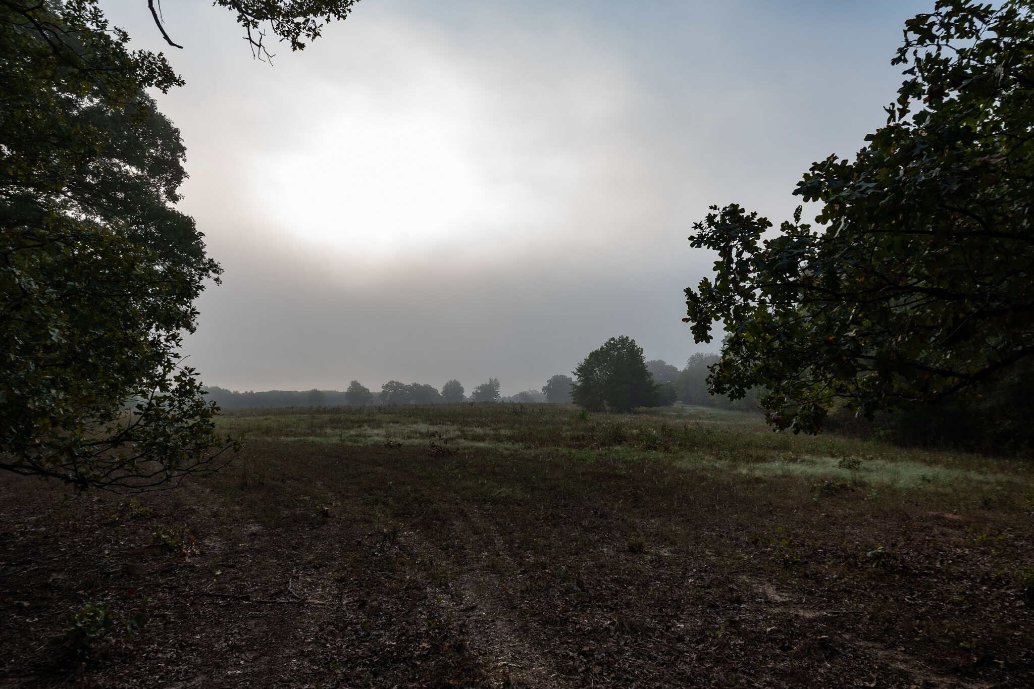126-Acre Recreational Ranch for Sale in Mineola Texas Wood County