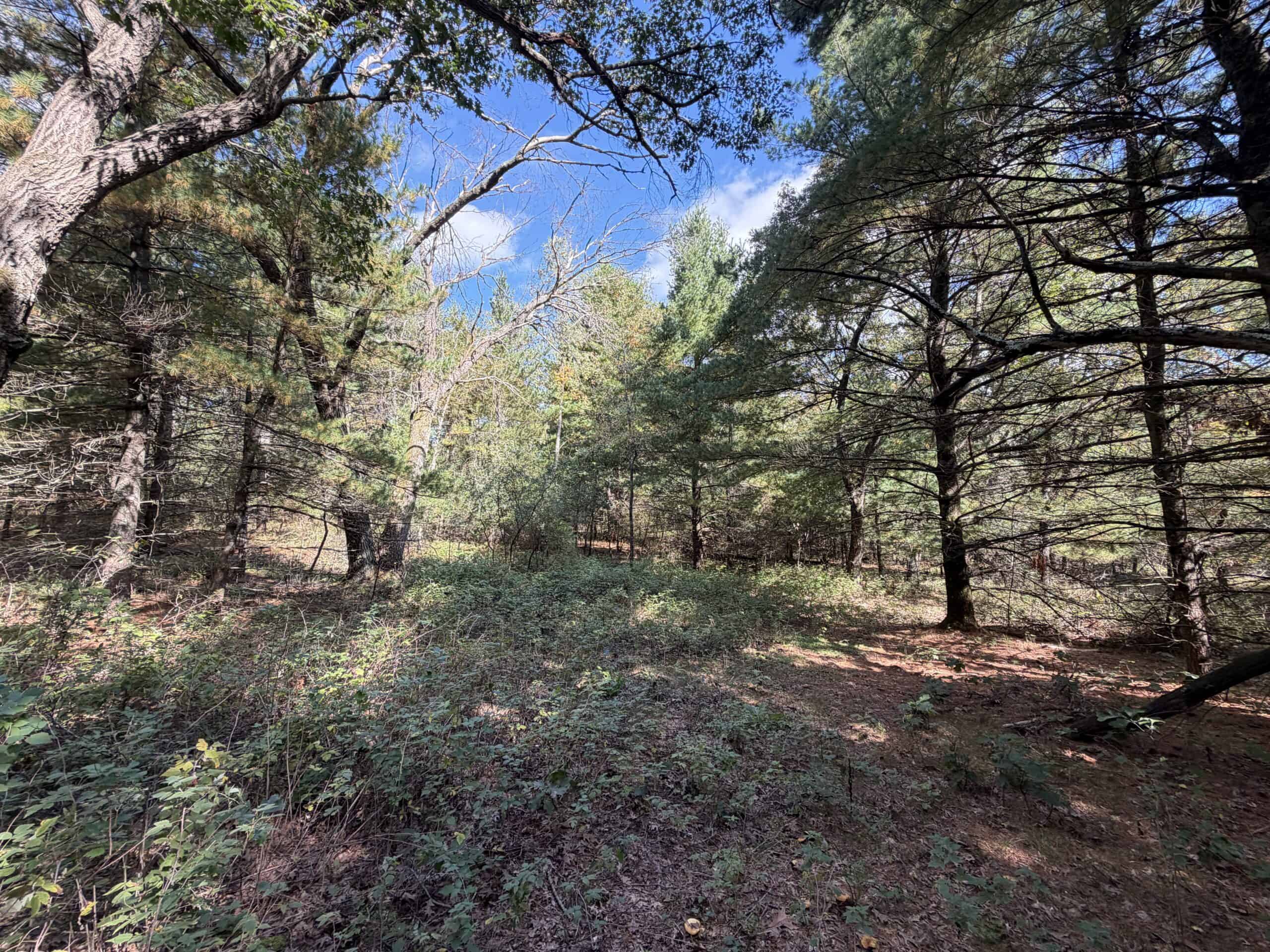 Buildable Hunting and Rec Property in Marquette County WI