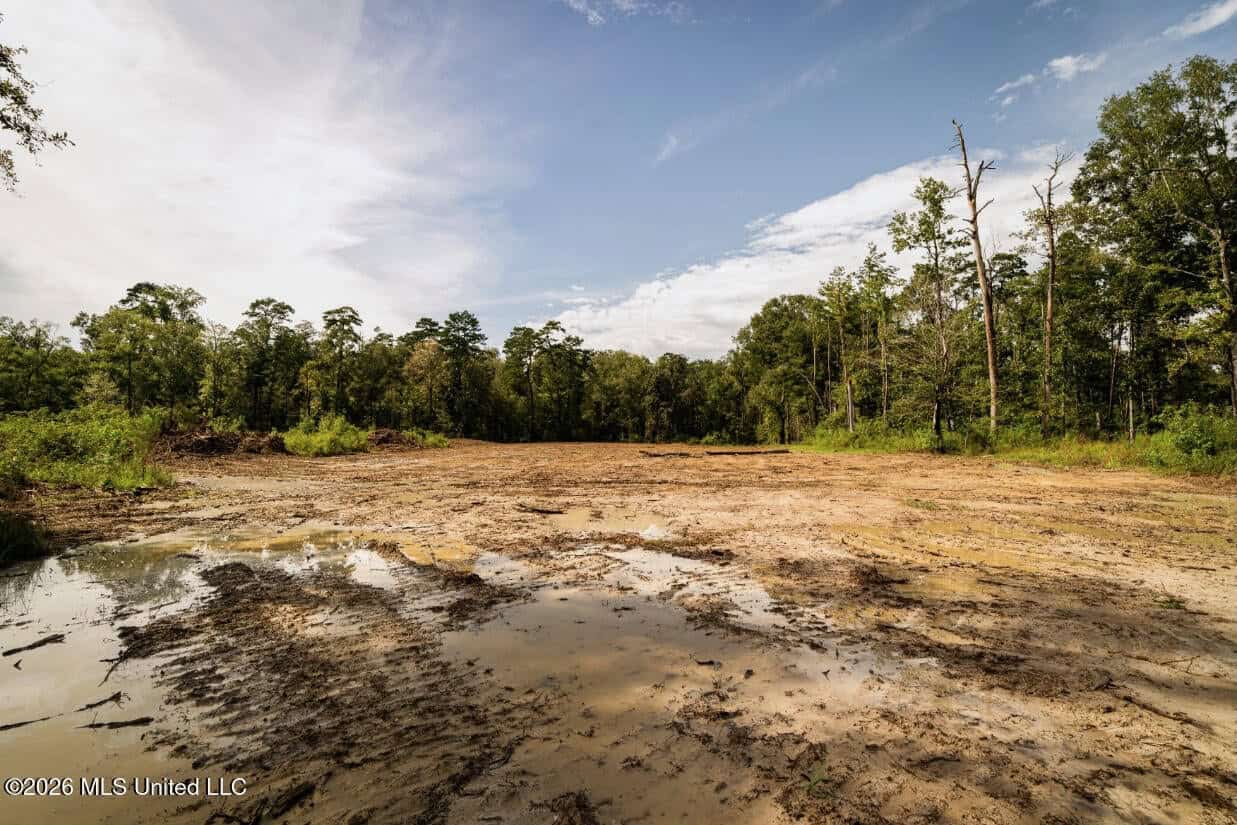 900 Acres for Sale – Hunter’s Paradise South Mississippi