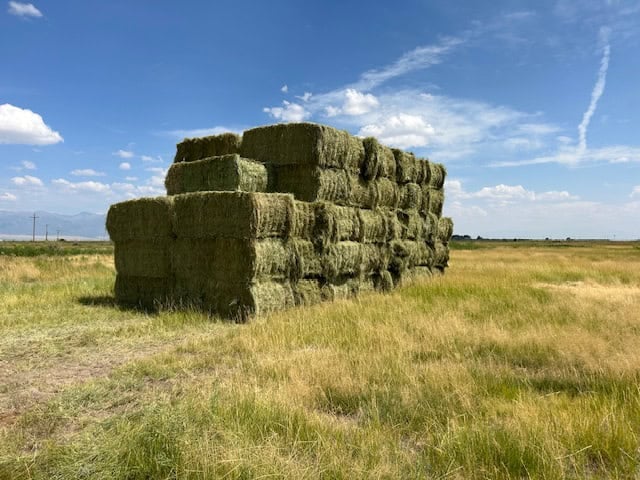 1,280± Acre Hay Ranch for Sale Near Saguache, CO