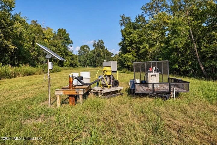 1979± Acre Hunting Plantation in White Castle, LA