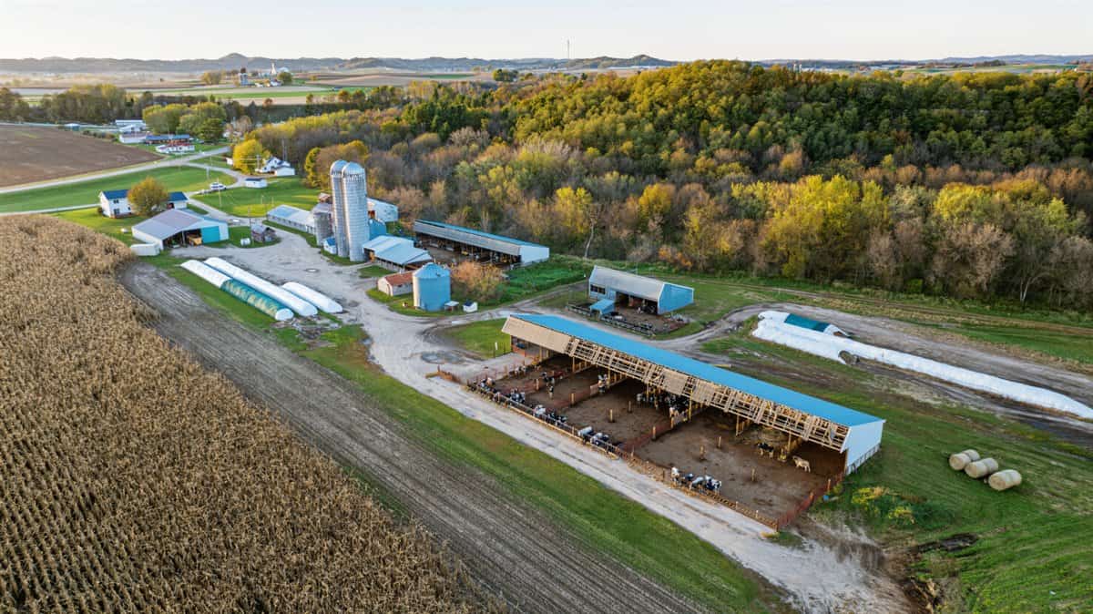 288± Acre Farm, Hunting & Black River Property | Melrose, Jackson County, WI