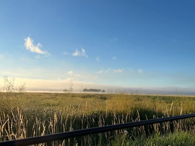 1,280± Acre Hay Ranch for Sale Near Saguache, CO