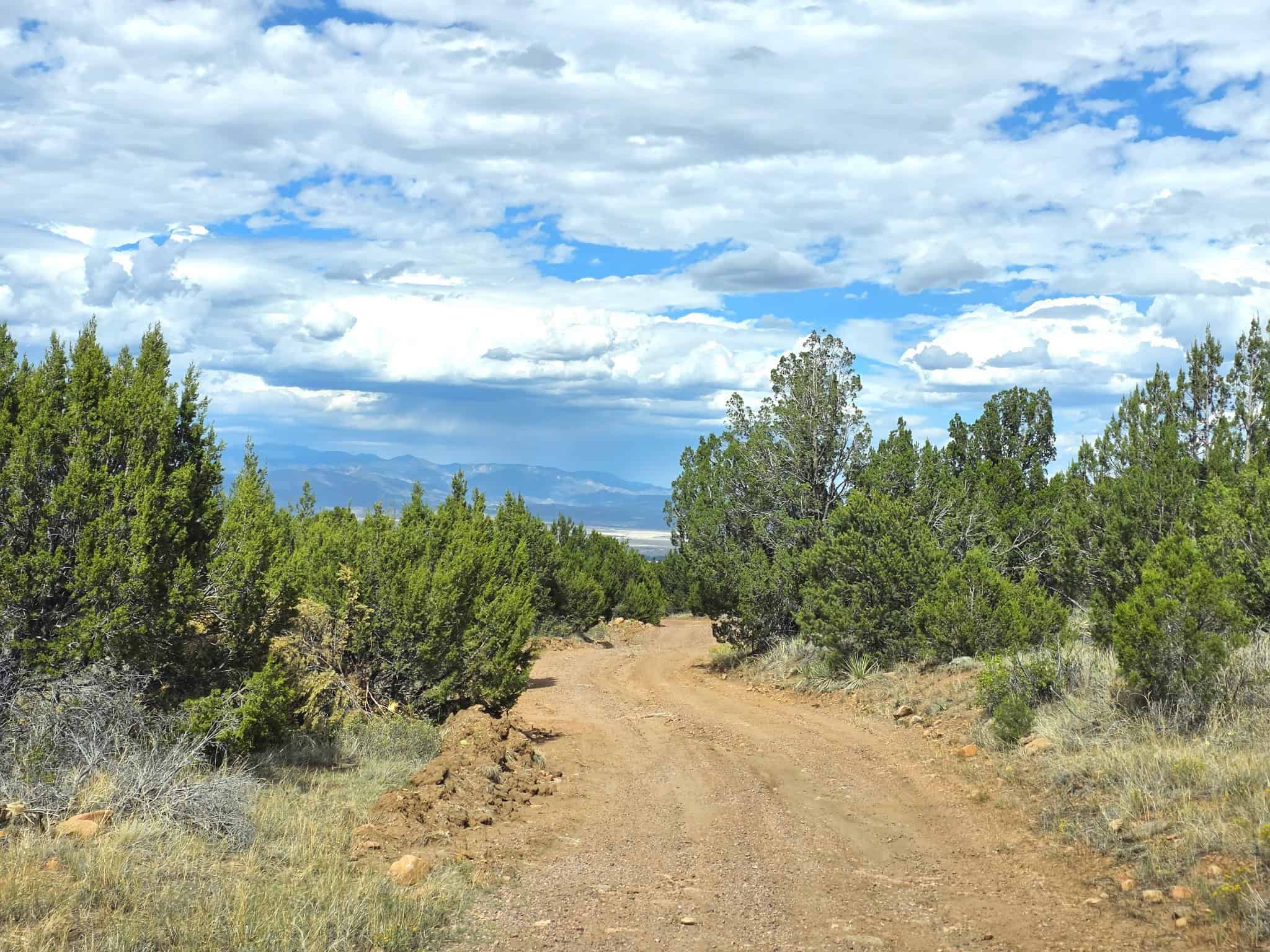 170.68 ± Acre Hunting Ranch by National Forest | Florence, CO