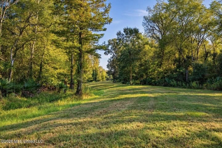 1979± Acre Hunting Plantation in White Castle, LA