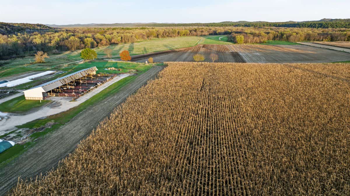288± Acre Farm, Hunting & Black River Property | Melrose, Jackson County, WI