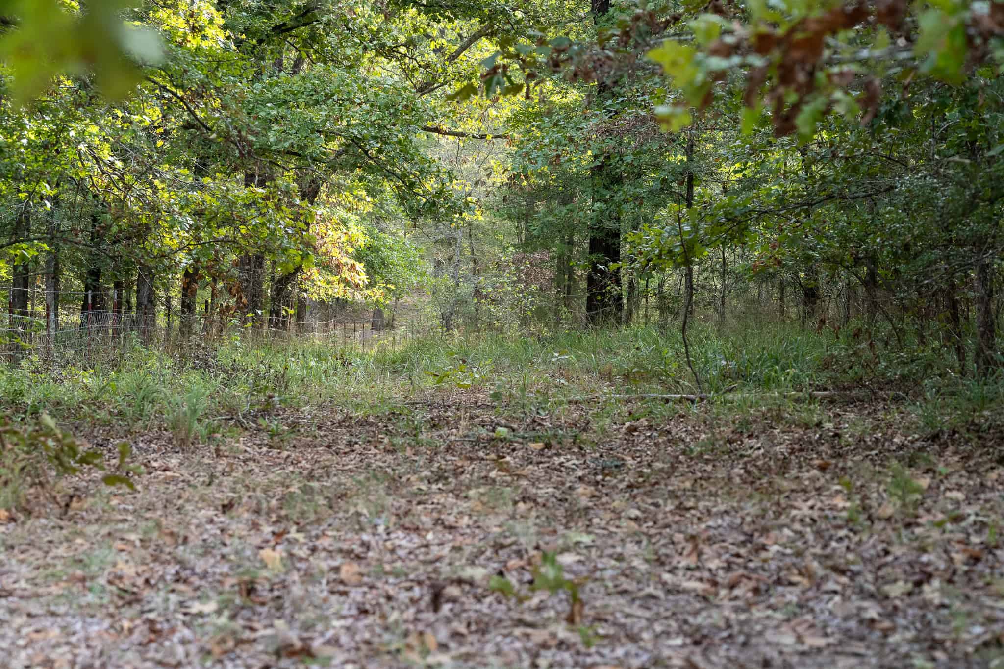126-Acre Recreational Ranch for Sale in Mineola Texas Wood County