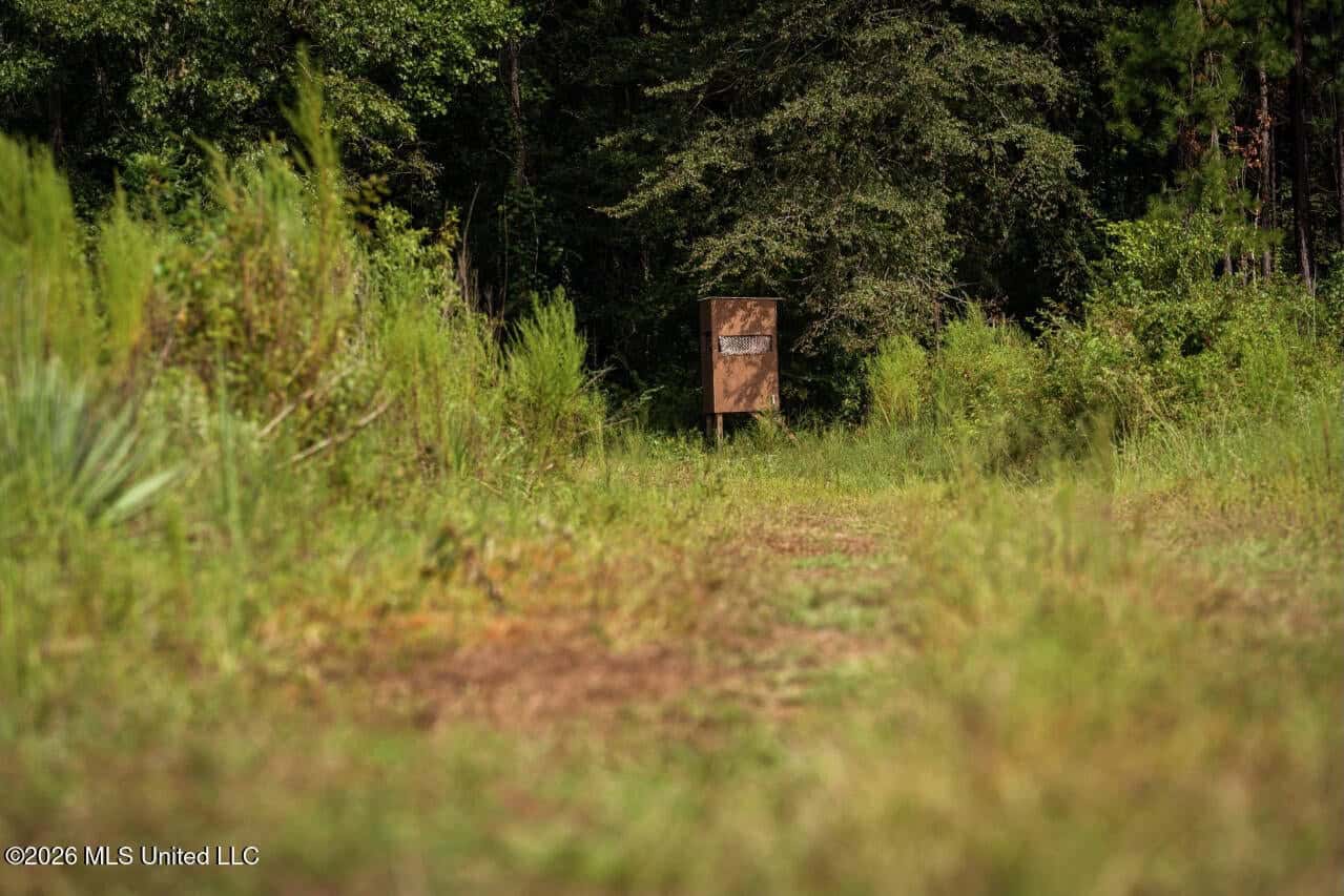900 Acres for Sale – Hunter’s Paradise South Mississippi