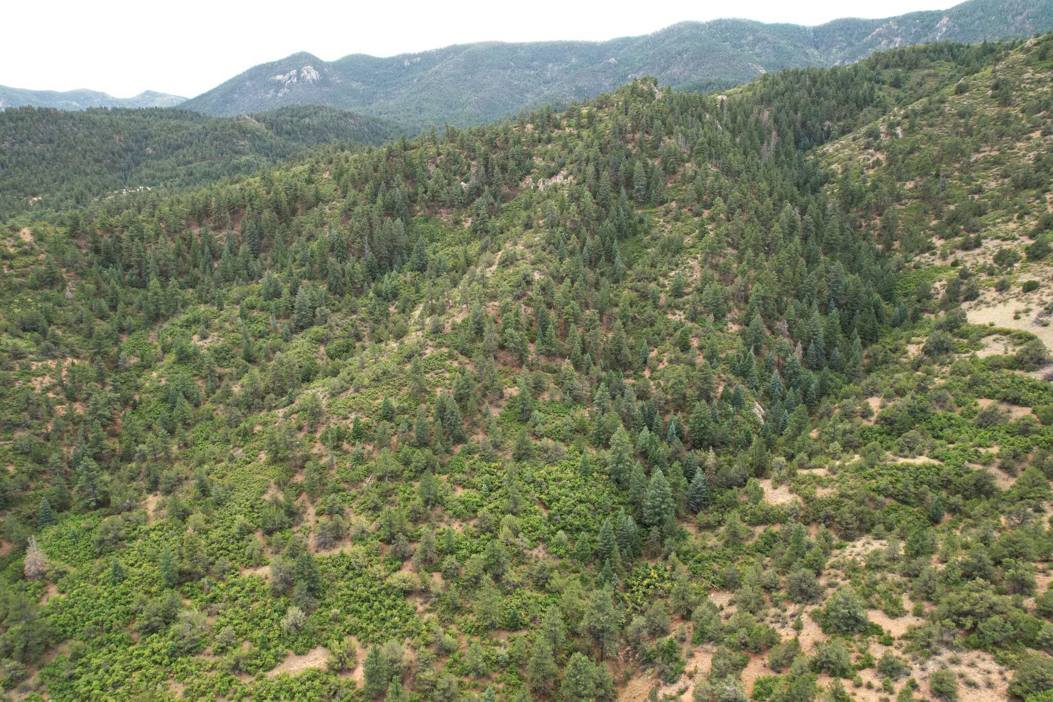 170.68 ± Acre Hunting Ranch by National Forest | Florence, CO