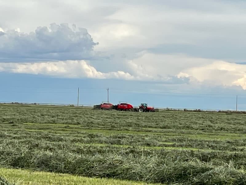 1,280± Acre Hay Ranch for Sale Near Saguache, CO