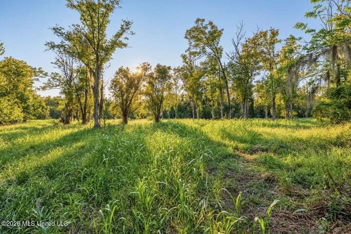 1979± Acre Hunting Plantation in White Castle, LA