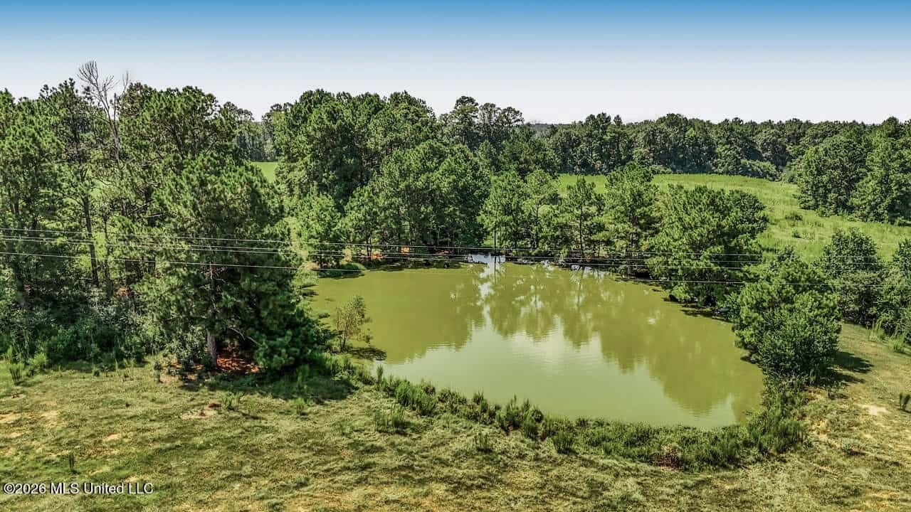 52± Acre Luxury Country Estate in Magnolia, MS