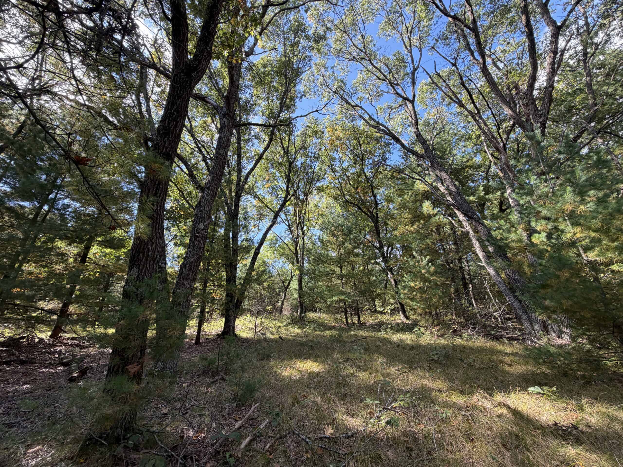 Buildable Hunting and Rec Property in Marquette County WI