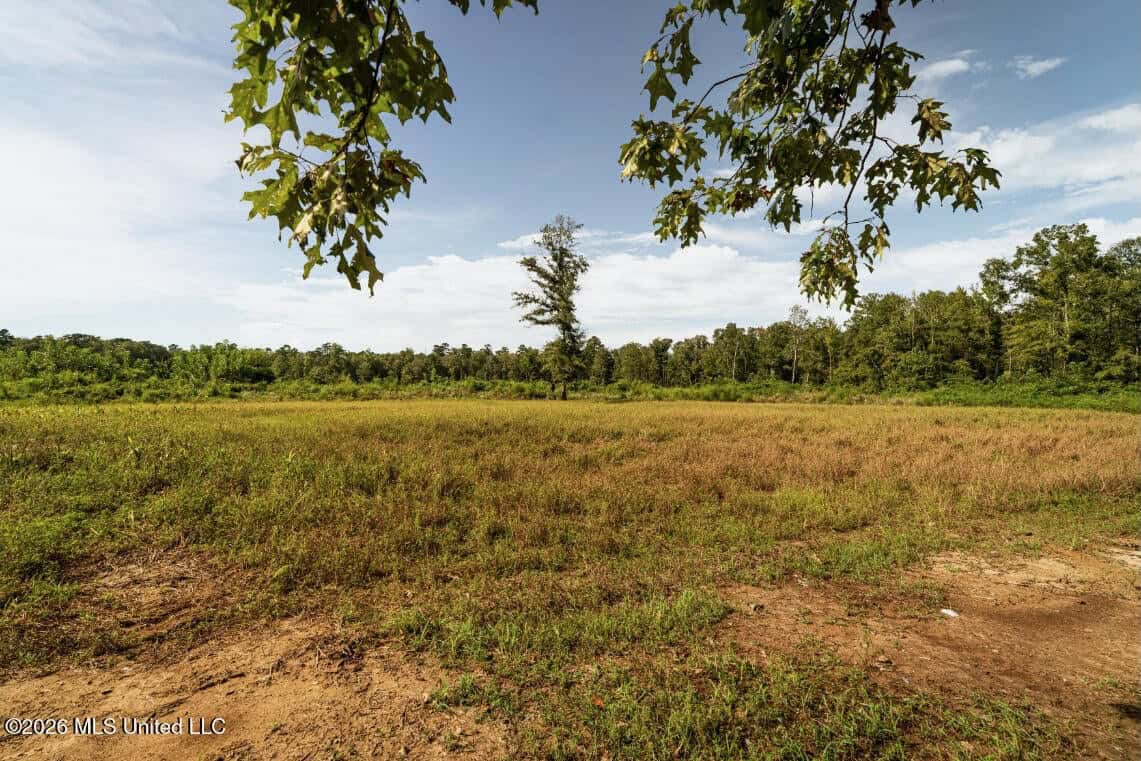 900 Acres for Sale – Hunter’s Paradise South Mississippi