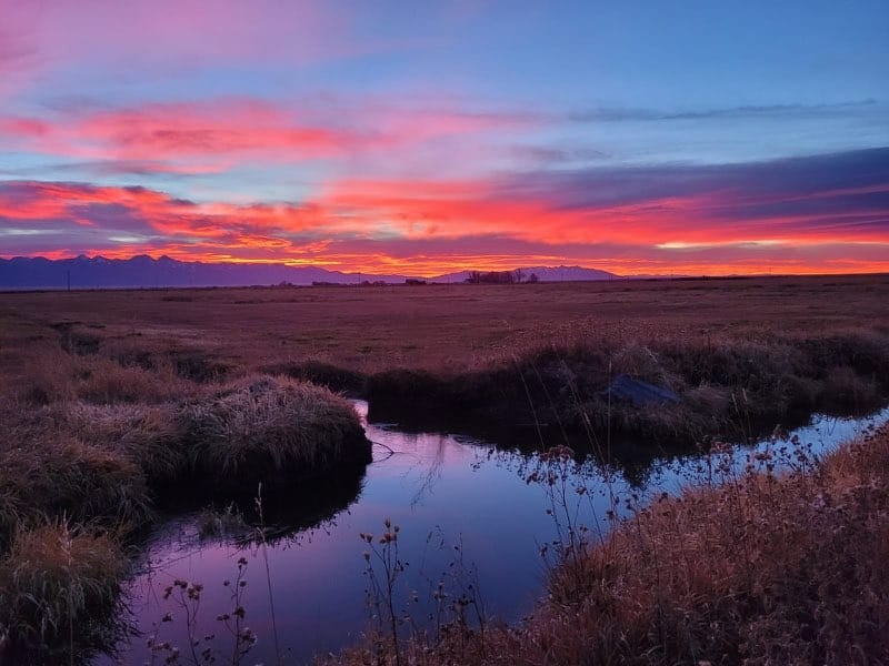 1,280± Acre Hay Ranch for Sale Near Saguache, CO