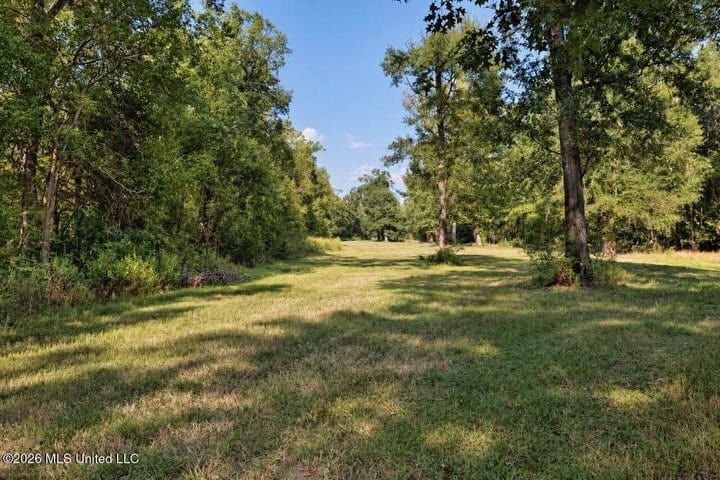 1979± Acre Hunting Plantation in White Castle, LA