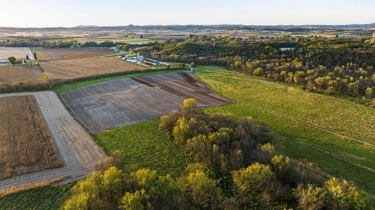 288± Acre Farm, Hunting & Black River Property | Melrose, Jackson County, WI