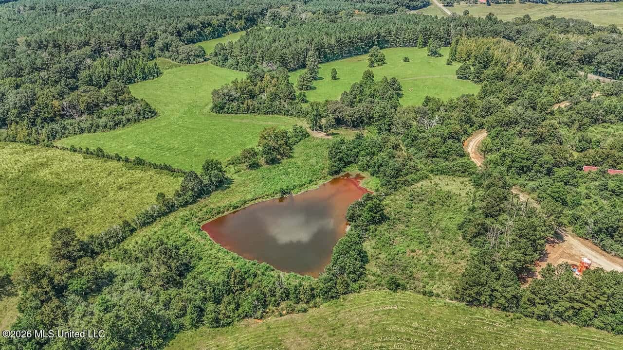 52± Acre Luxury Country Estate in Magnolia, MS