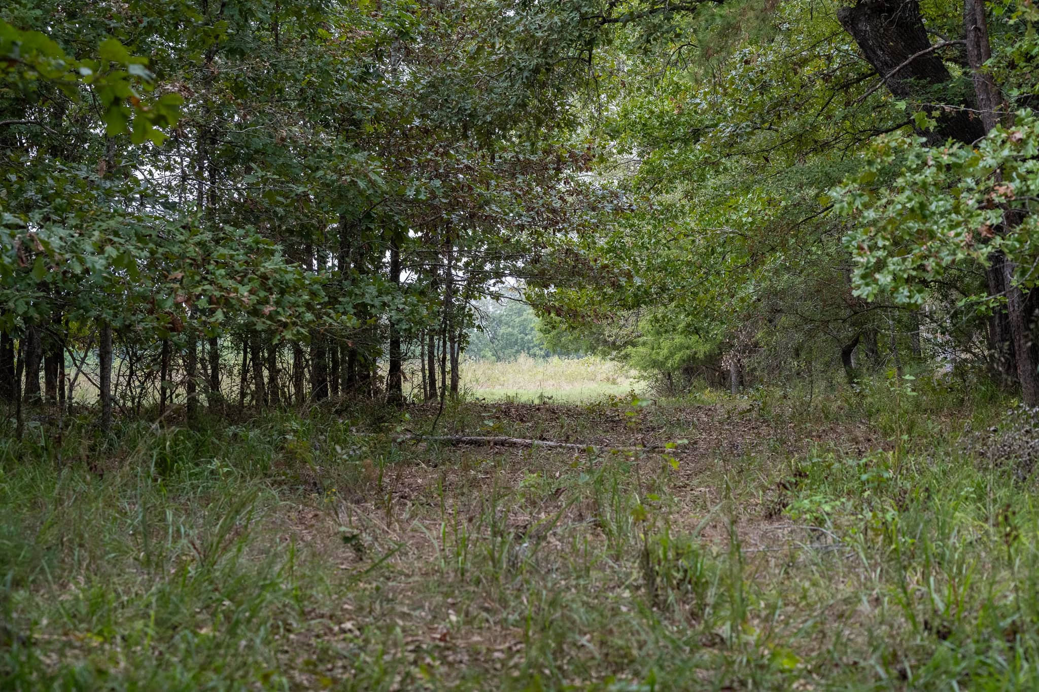 126-Acre Recreational Ranch for Sale in Mineola Texas Wood County