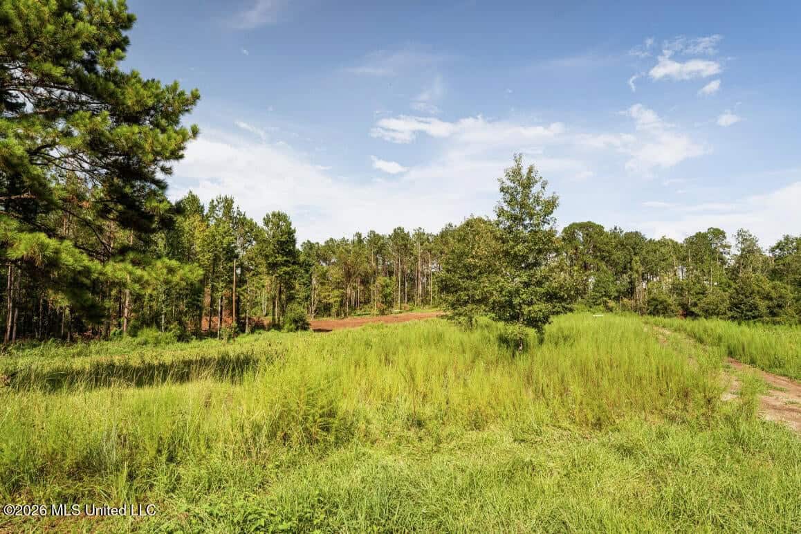 900 Acres for Sale – Hunter’s Paradise South Mississippi