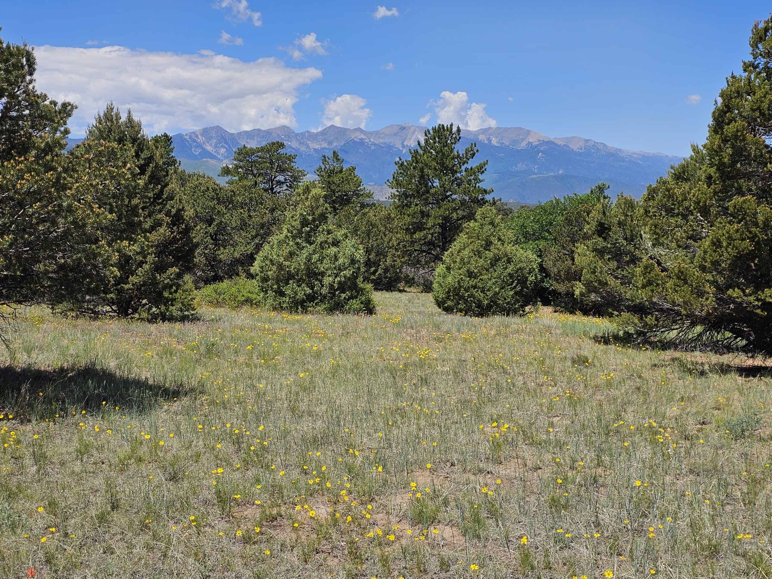 135 ± Acre Spring Valley Ranch for Sale Near Salida, CO
