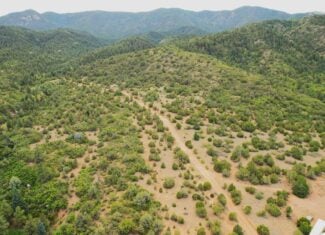 170.68 ± Acre Hunting Ranch by National Forest | Florence, CO