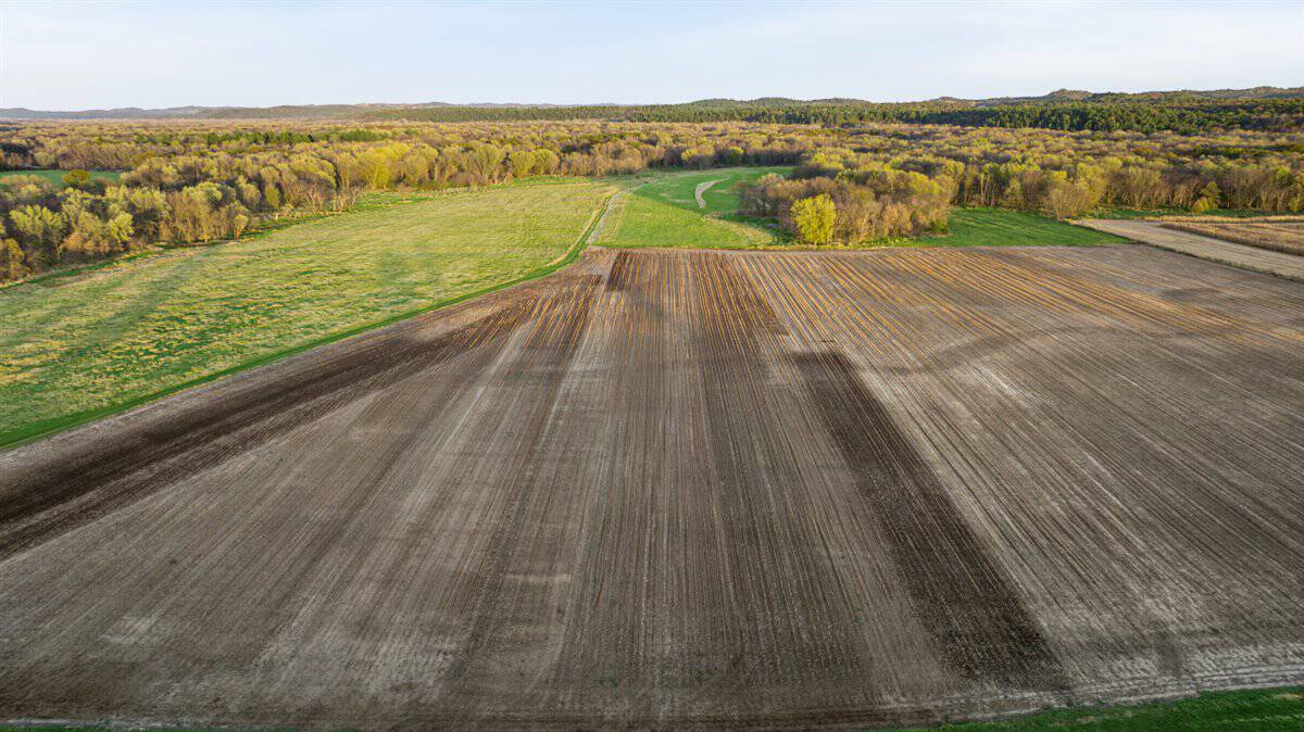 288± Acre Farm, Hunting & Black River Property | Melrose, Jackson County, WI
