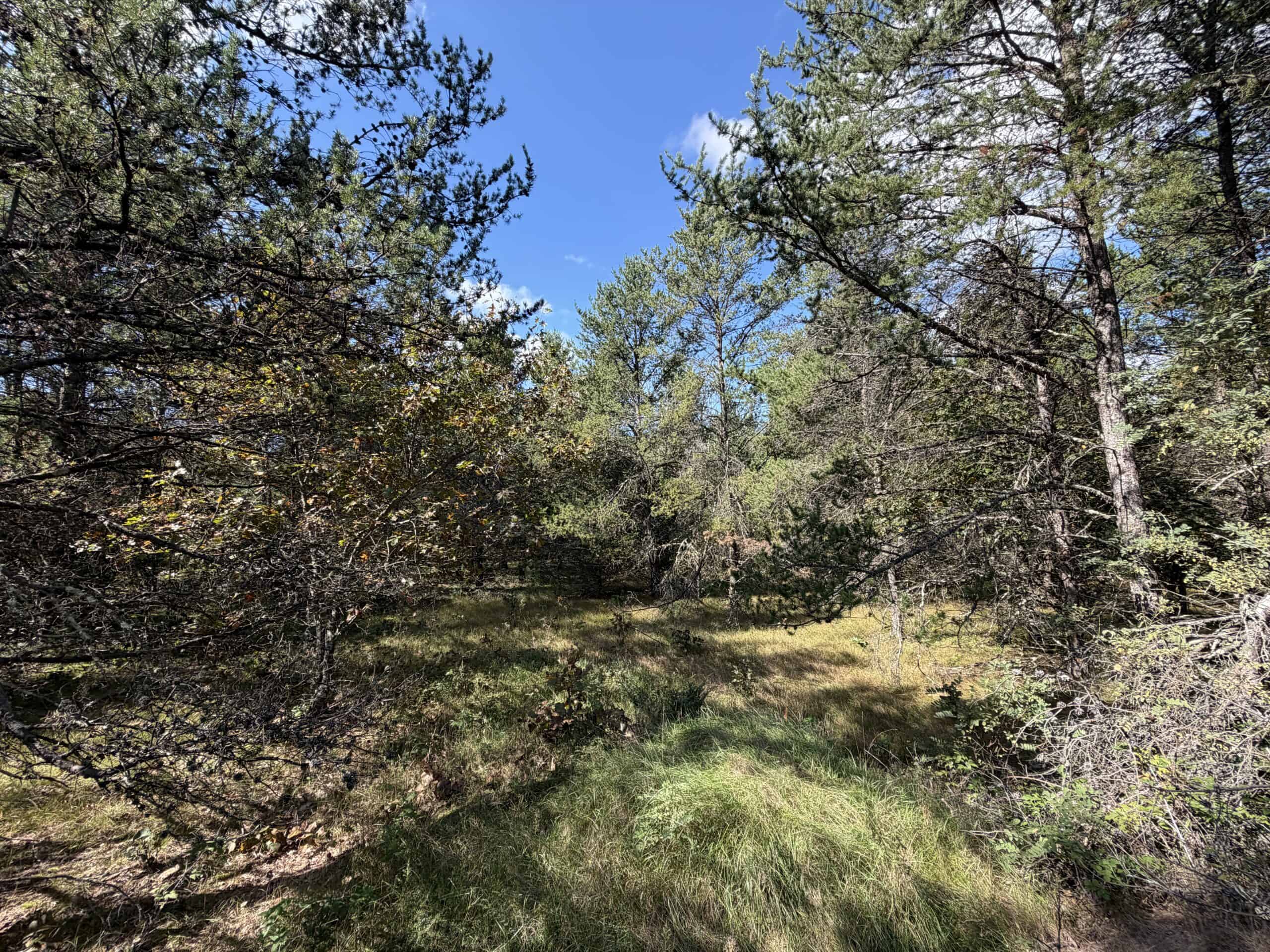 Buildable Hunting and Rec Property in Marquette County WI