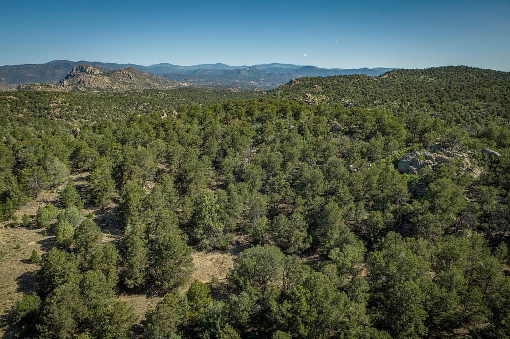 135 ± Acre Spring Valley Ranch for Sale Near Salida, CO