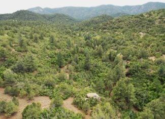 170.68 ± Acre Hunting Ranch by National Forest | Florence, CO