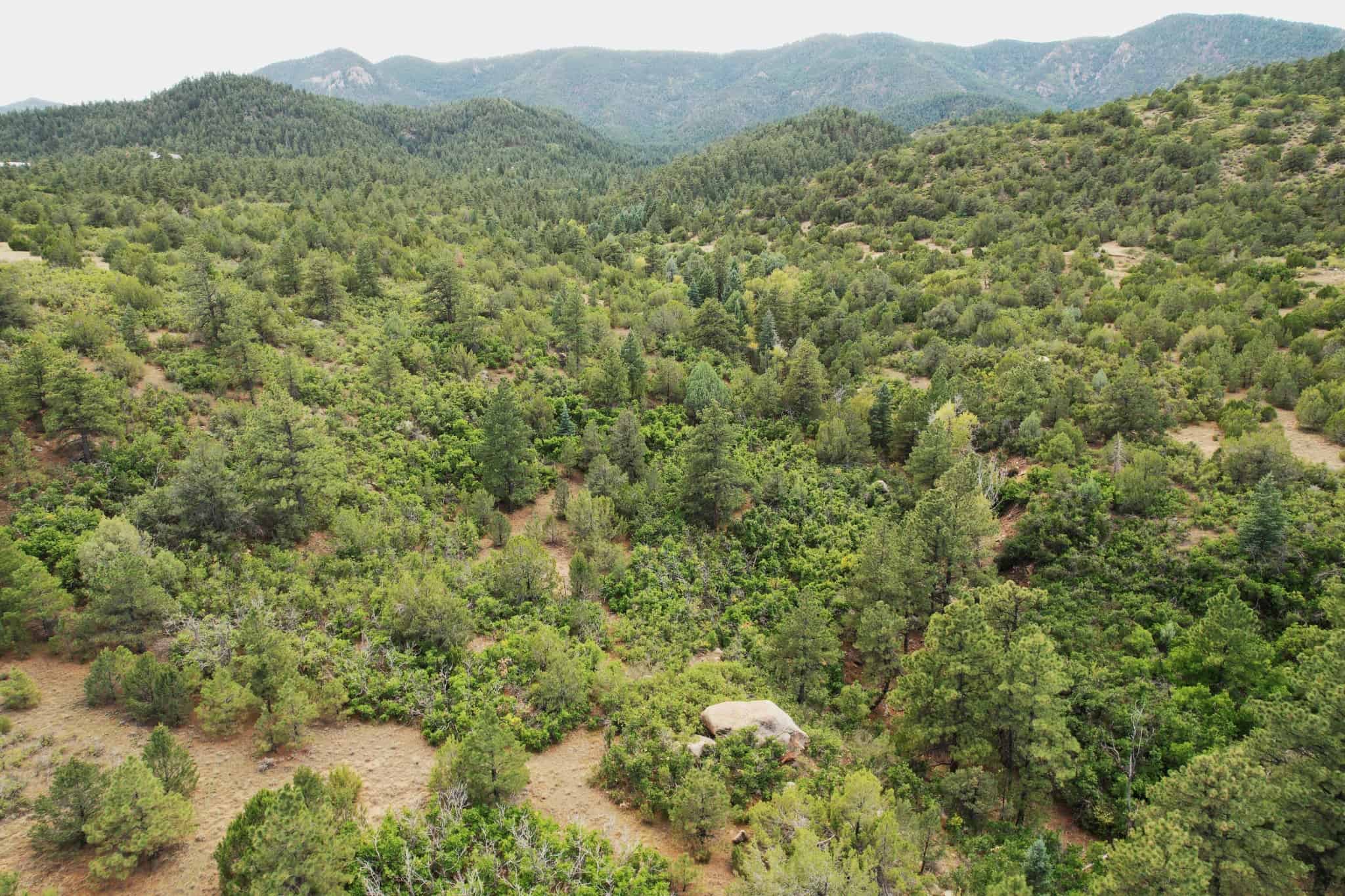 170.68 ± Acre Hunting Ranch by National Forest | Florence, CO