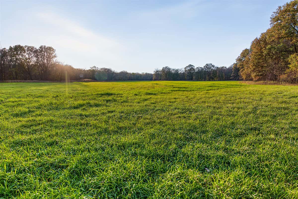 288± Acre Farm, Hunting & Black River Property | Melrose, Jackson County, WI