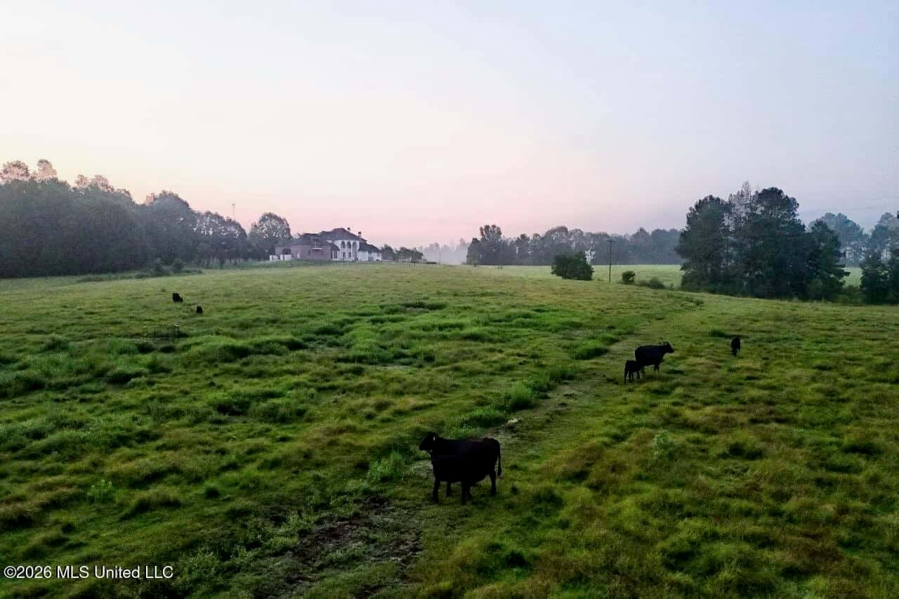 52± Acre Luxury Country Estate in Magnolia, MS