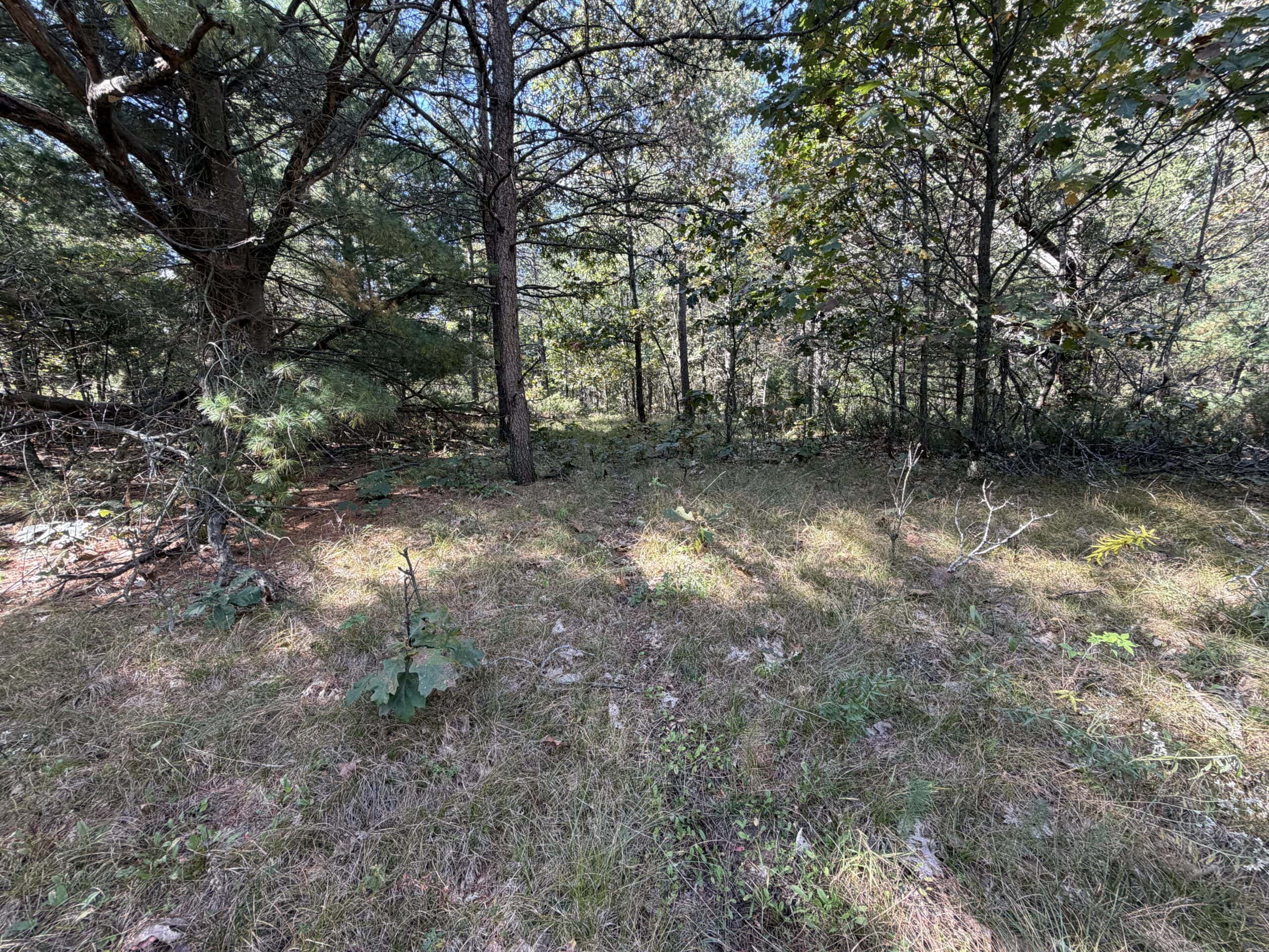 Buildable Hunting and Rec Property in Marquette County WI